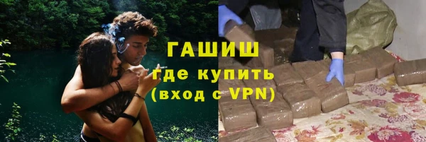 индика Волосово