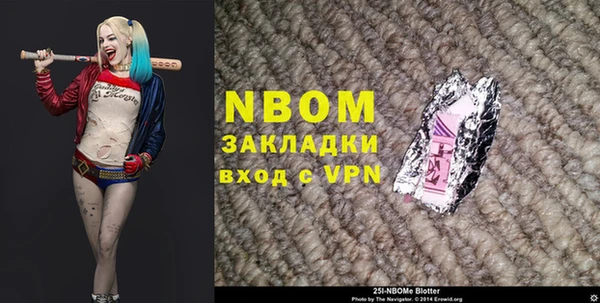 индика Волосово
