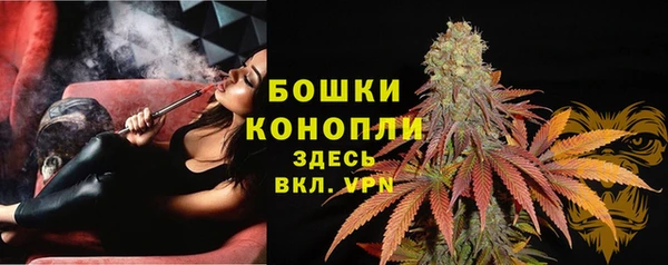 индика Волосово