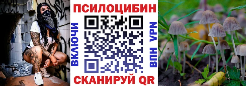 Купить где  Краснозаводск  Псилоцибиновые грибы прущие грибы 
